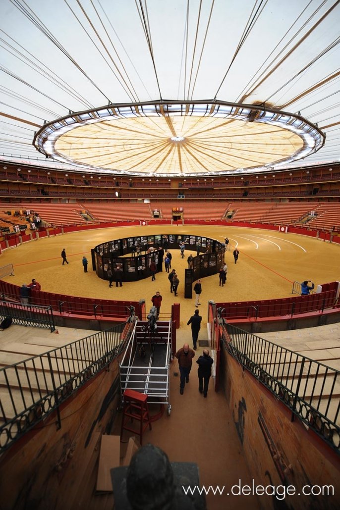 exposition-implantation-scenographie (2)