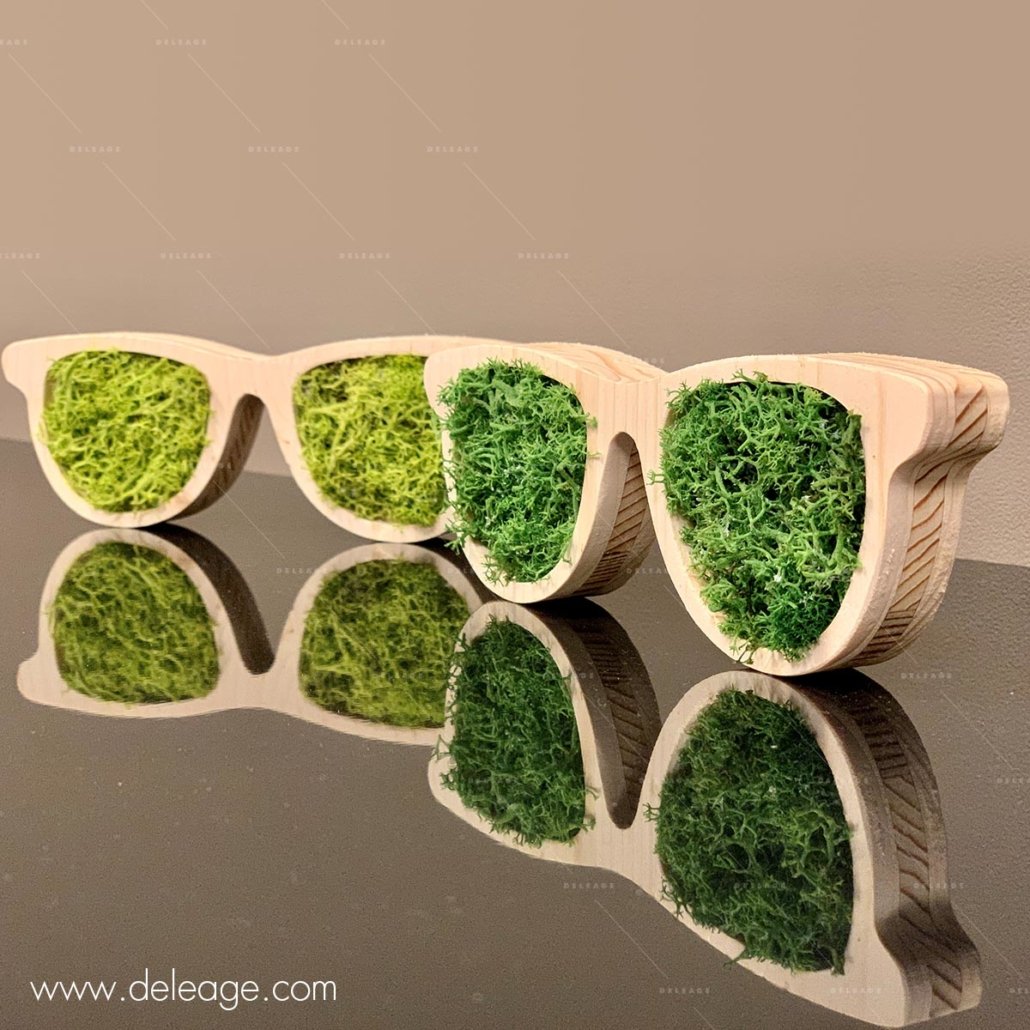 lunettes-bois-vegetal-2