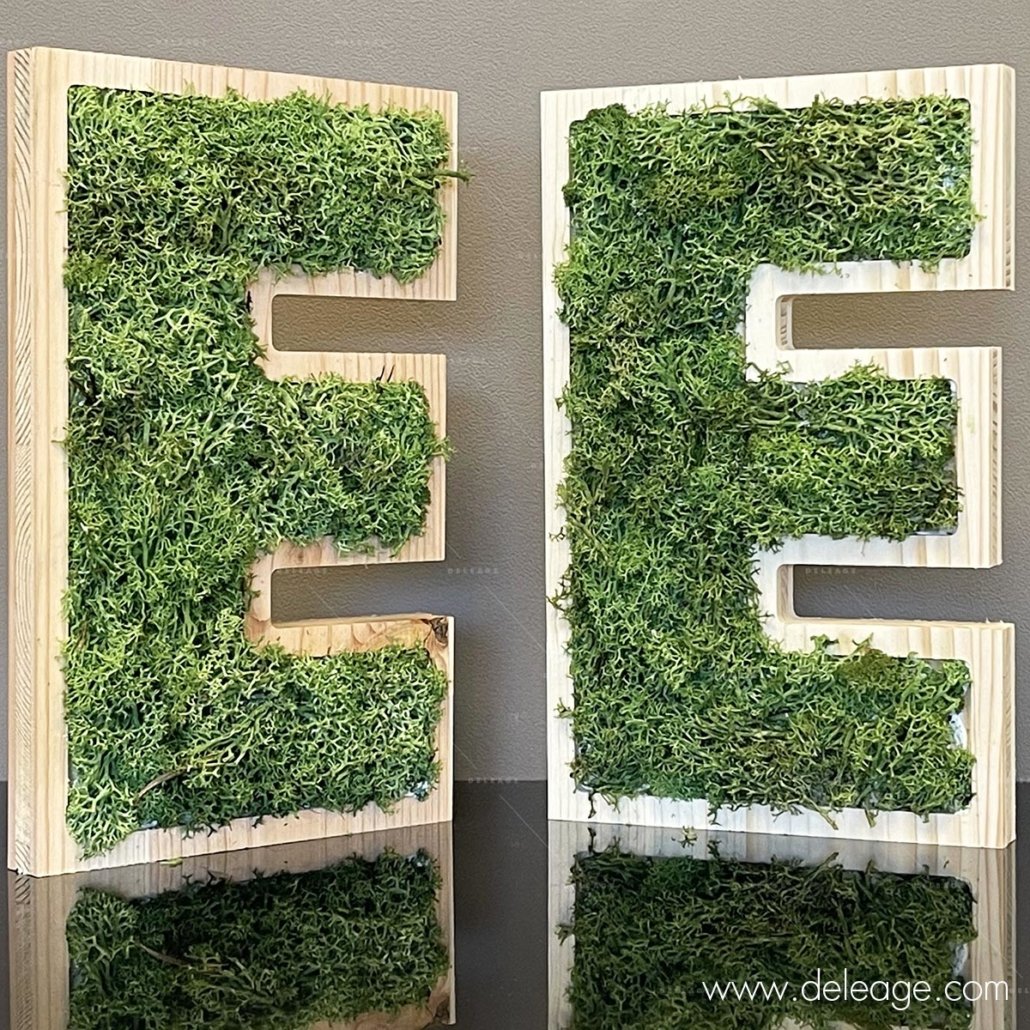 lettre-bois-douglas-et-epicea-vegetal-1