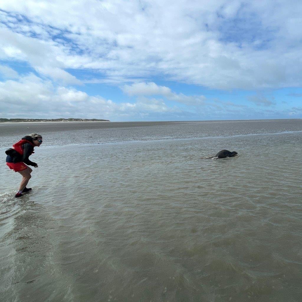 seminaire-deleage (8)