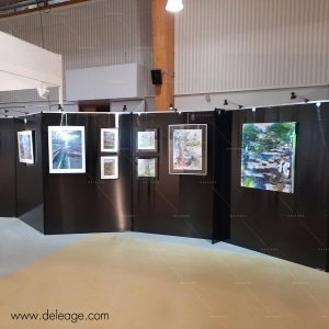 80 Panneaux ZIG ZAG pour un style « New Look »